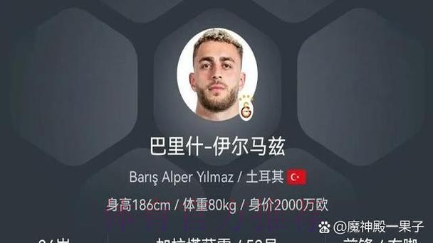 六台:老佛爷与多特关系不错 哈兰德希望加盟皇马 六台:老佛爷与多特关系不错 哈兰德希望加盟皇马